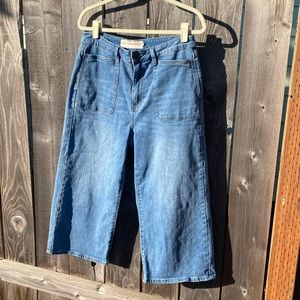 Soft Surroundings The Ultimate Wide Leg 12 stretch cropped ankle jean